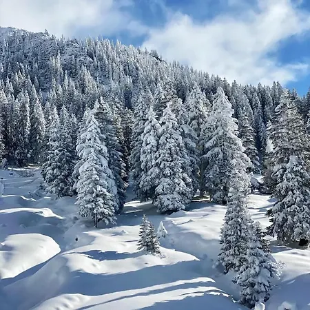 Haus Tirol Эрвальд