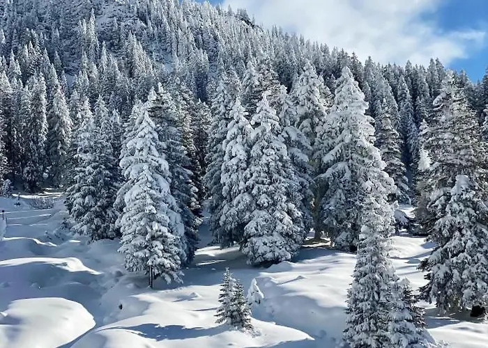 Haus Tirol エールヴァルト